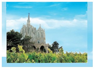 impremta virgili impressio postal amb sang